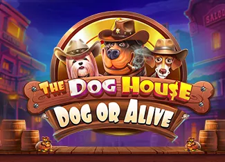 The Dog House - Dog or Alive - ATHENA777