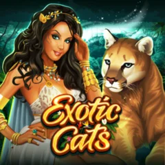 Exotic Cats - ATHENA777
