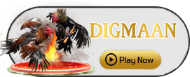 Digman - ATHENA777